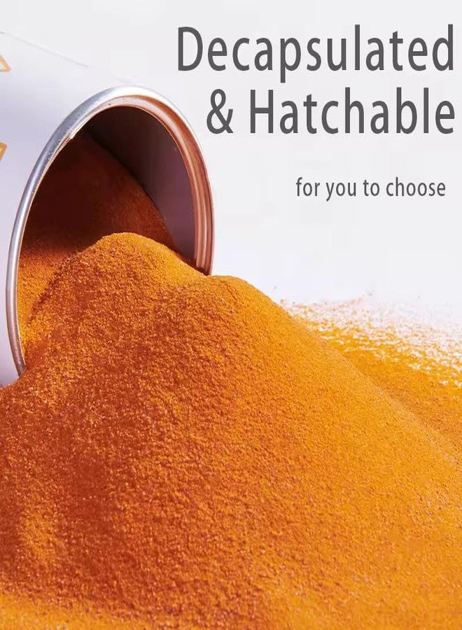 MorexLab Decapsulated Brine Shrimp Eggs (Non-Hatching) - High Protein Natural Food for Fish, Fry, Corals, Freshwater & Marine Tanks - 100% Natural Artemia Nauplii (2.82 OZ (80 gram)) - Image 2